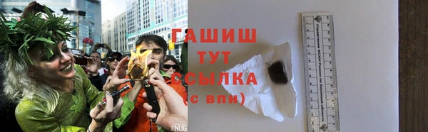 spice Дмитриев