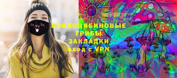 spice Дмитриев