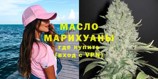 spice Дмитриев