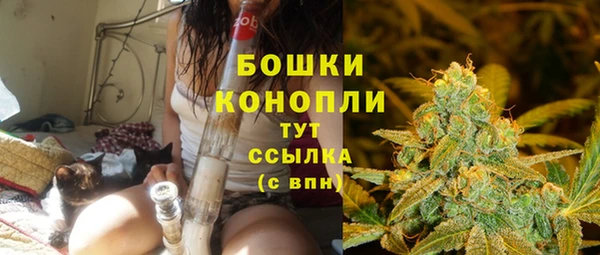 ПСИЛОЦИБИНОВЫЕ ГРИБЫ Дмитровск
