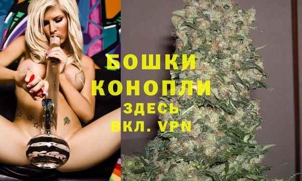 spice Дмитриев