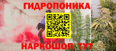 jwh Гатчина