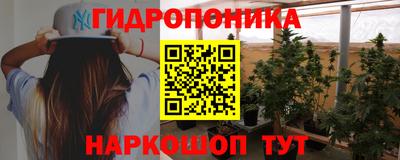 jwh Гатчина