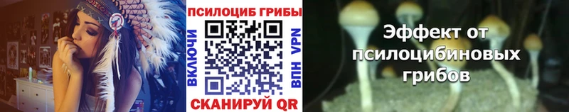 Галлюциногенные грибы Psilocybine cubensis  Ефремов 
